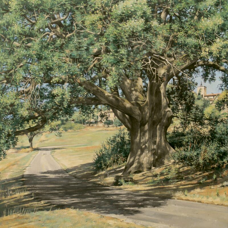 grosse eiche von murs - vaucluse 2019, 95 x 80 cm, öl auf leinwand