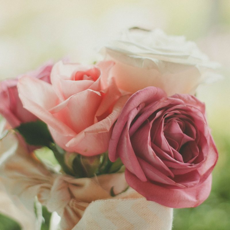 Our Flowers