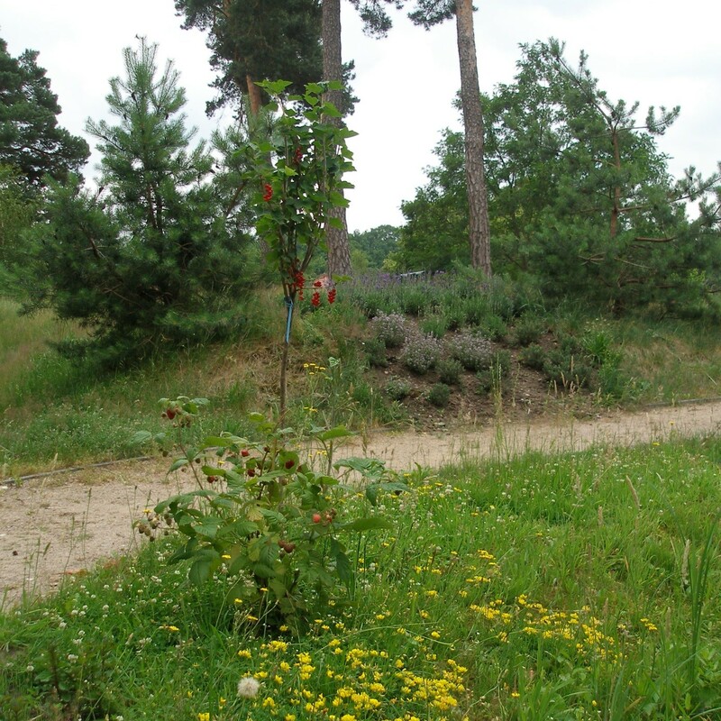 Kurviger Weg mit leichter Steigung