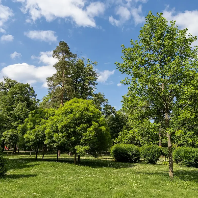 Landschaftsbau Berlin