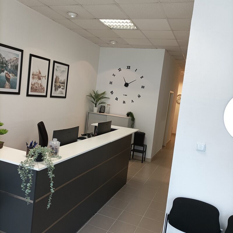 Vlado Vergilov - Empfangsbereich 1