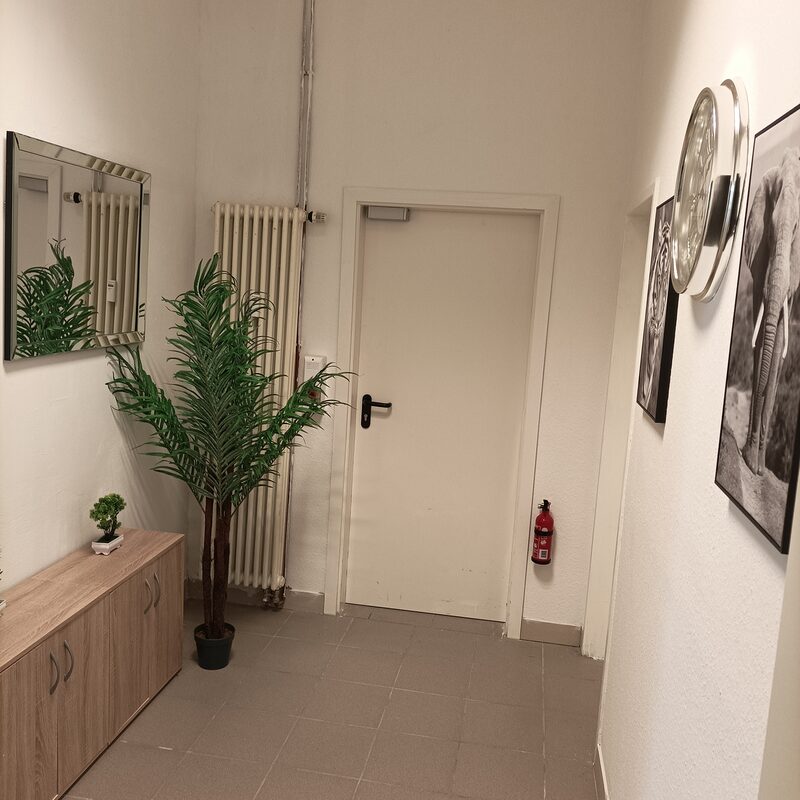 Vlado Vergilov - Praxisflur 2