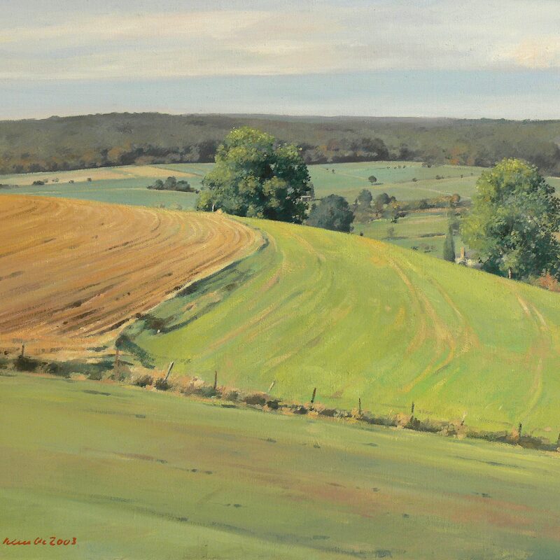 landschaft bei mompach - kanton echternach 2003, 52 x 59 cm, öl auf leinwand