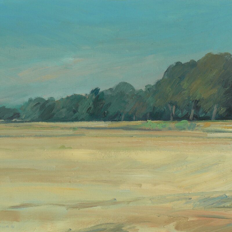 flusslandschaft bei angers - maine-et-loire 1996, 44 x 51 cm, öl auf karton