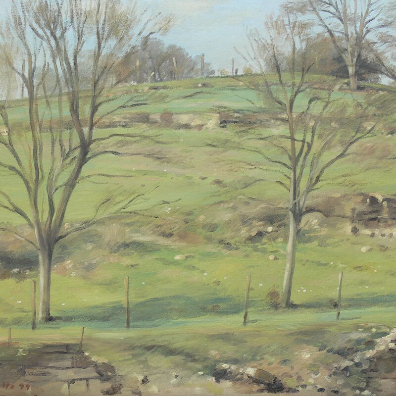 landschaft bei grevenmacher - kanton grevenmacher 1999, 43 x 52 cm, öl auf baumwolle