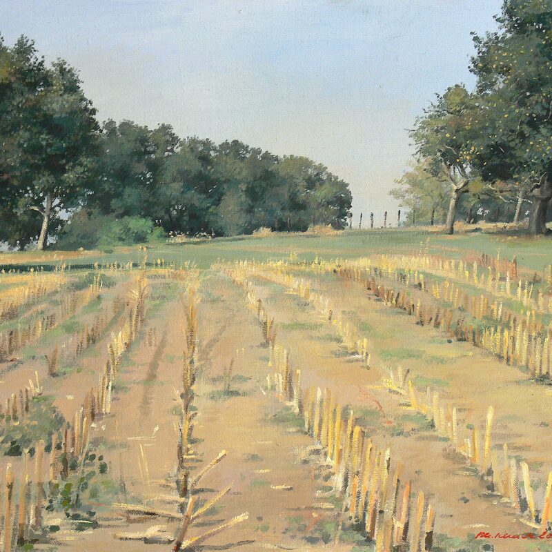 landschaft bei mompach - kanton echternach 2003, 43 x 52 cm, öl auf leinwand