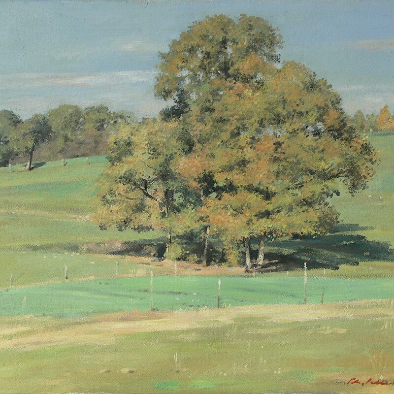 landschaft bei trierweiler - rheinland-pfalz 2003, 36 x 44 cm, öl auf leinwand