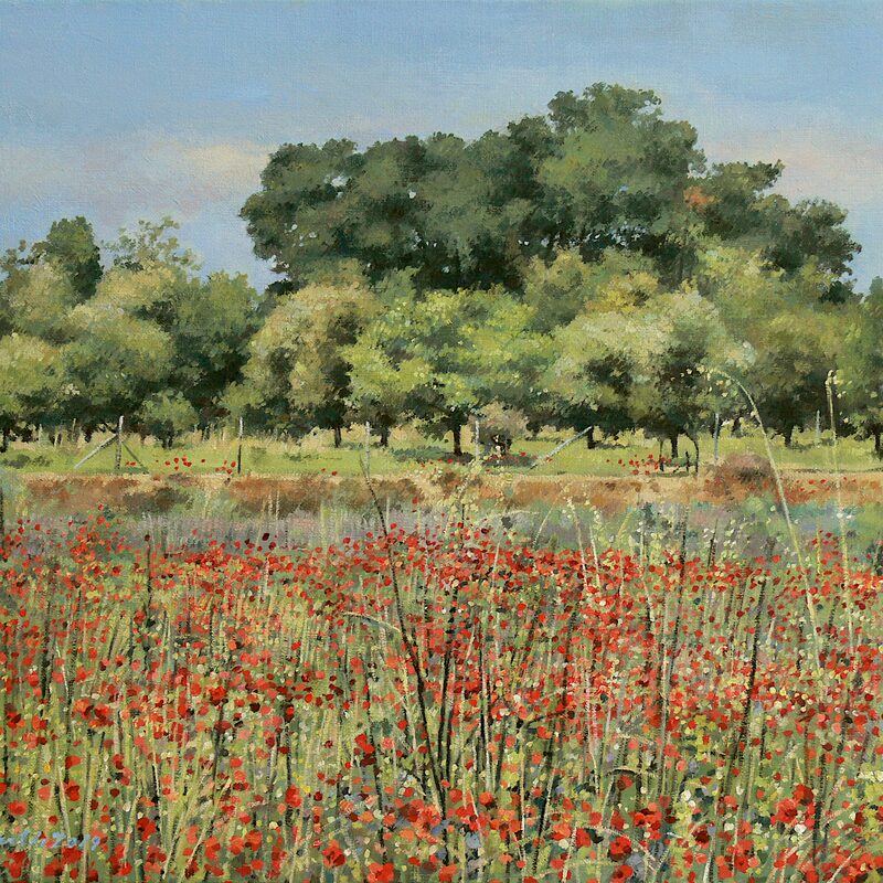 landschaft bei maubec - vaucluse 2019, 36 x 44 cm, öl auf leinwand