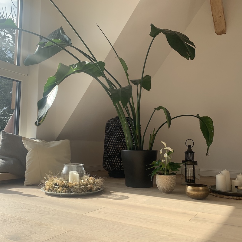 Pflanzenarrangement mit Kerzen und Schale auf hellem Holzfußboden in gemütlicher Sitzecke