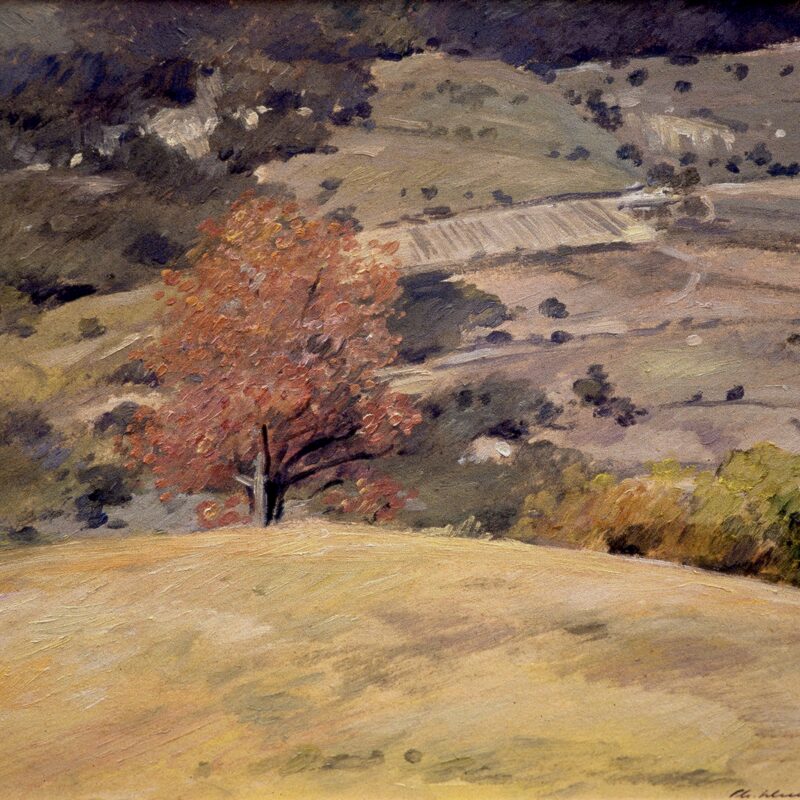 landschaft bei vaison-la-romaine - vaucluse 1998,  35 x 37 cm, öl auf karton