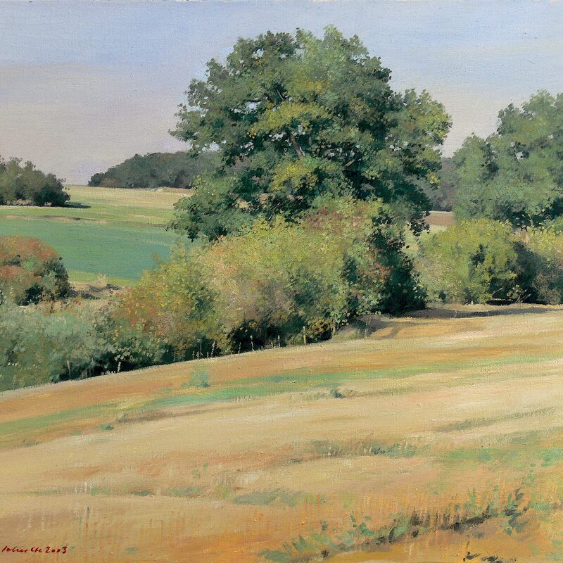 landschaft bei mompach - kanton echternach 2003, 52 x 59 cm, öl auf leinwand