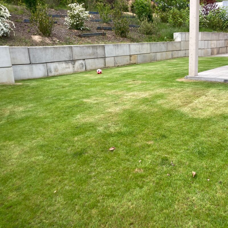 Vermietet | 3-Raum Erdgeschoß-Wohnung mit Garten