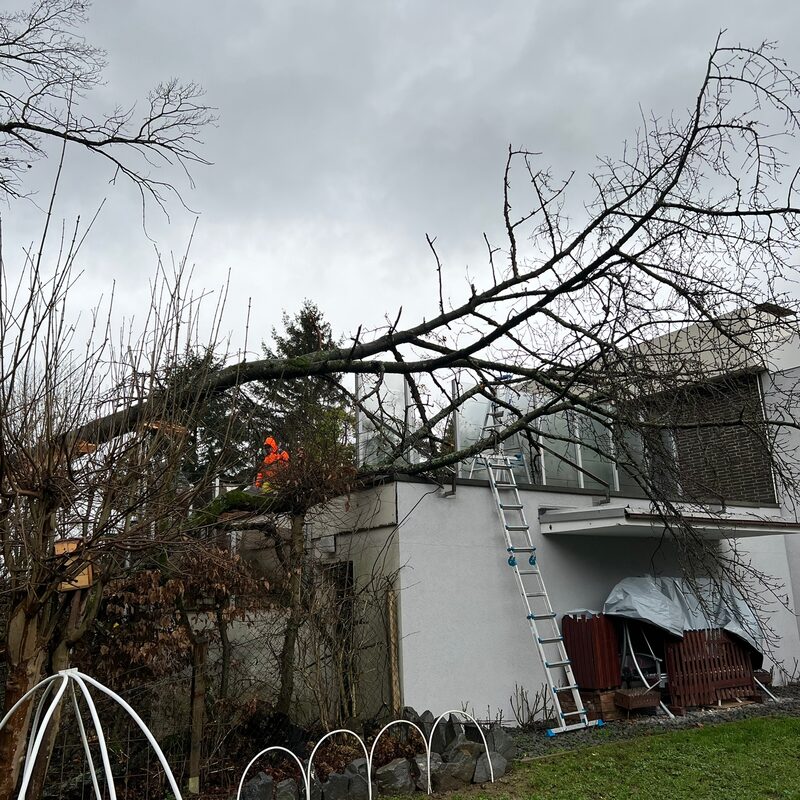 Brennecke Cleaning Not-/Schnelldienst 3