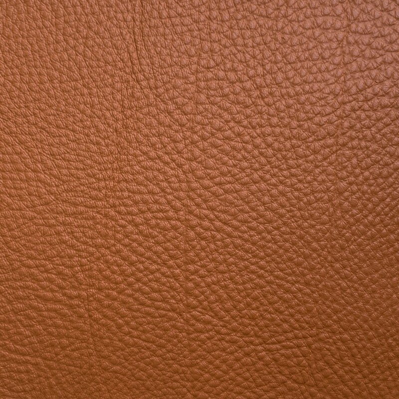 COLLECTION 1616 col. 6303 CEDAR