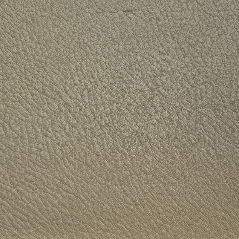 COLLECTION 1616 col. 3408 FUNGHI