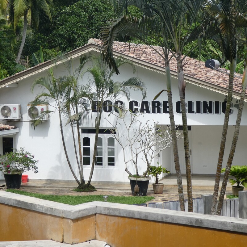 Die Dog Care Clinic ist ein herausragendes Tierschutzprojekt im Süden Sri Lankas.