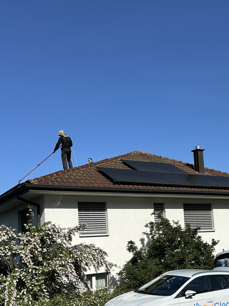 Photovoltaikanlagenreinigung mit rotierende Bürste