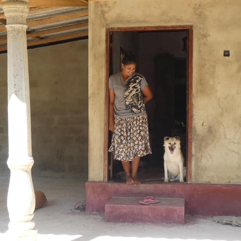 die Vermittlung von Hunden in ein liebevolles Zuhause und vieles mehr.
