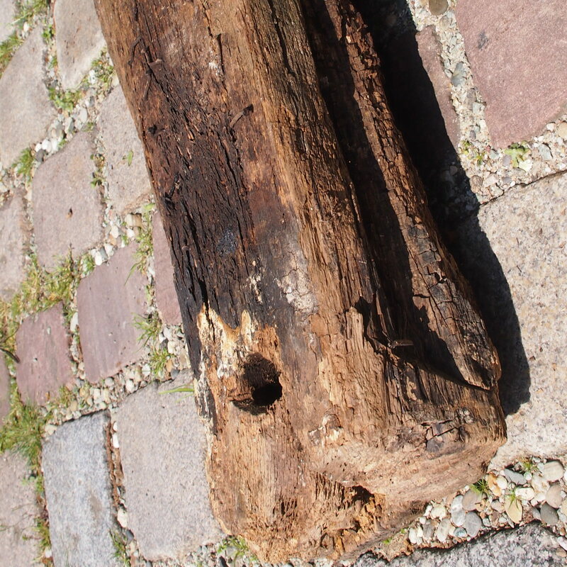 Aller Anfang ist schwer