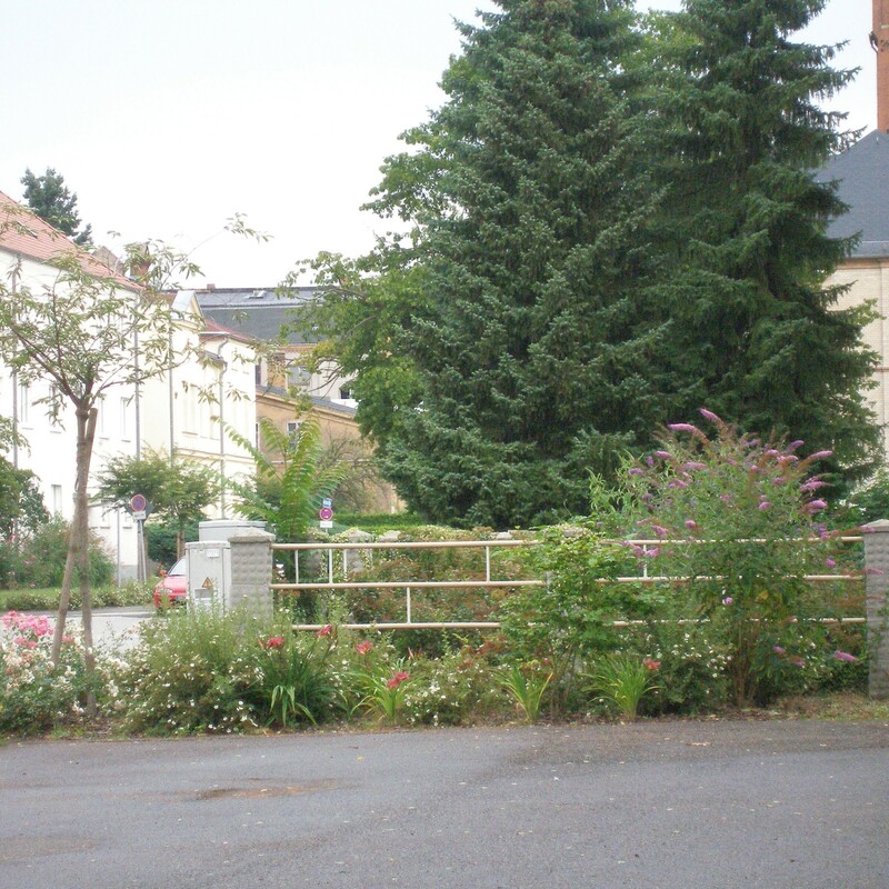 Sanierung Siedlung Forst Lausitz, Bauherr Forster WG, Forst 