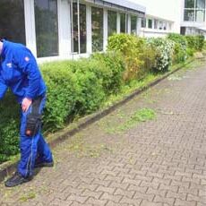 Brennecke Cleaning Grünanlagenpflege 2