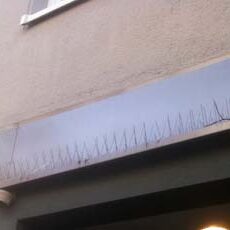 Brennecke Cleaning Zaubenvergrämung 2