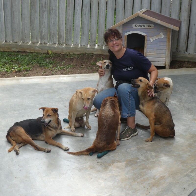 die aufwändige Versorgung und Betreuung körperlich eingeschränkter Hunde mit besonderen Bedürfnissen,