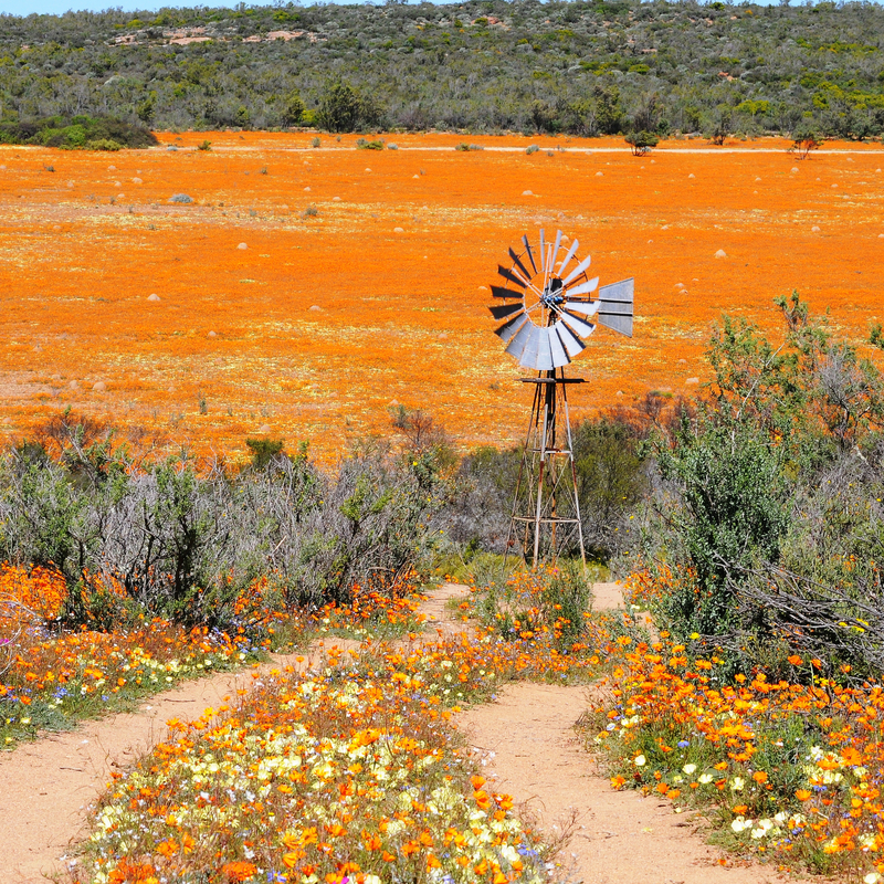 Namaqualand
