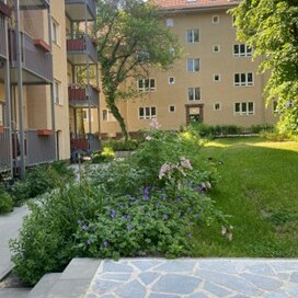 Innenhof 2 Wegbegleitende Bepflanzung 