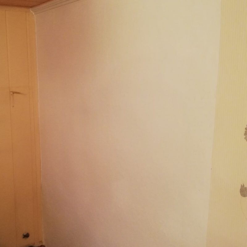 - Renoviervlies zur Untergrundsanierung