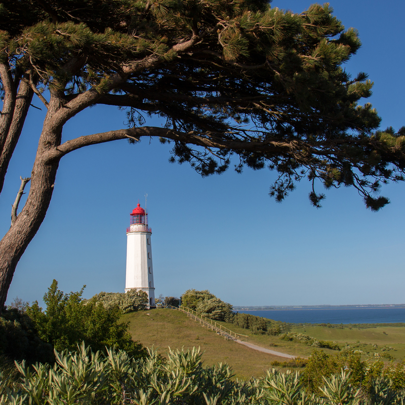 Lecuhtturm auf dem Dornbusch auf Hiddensee