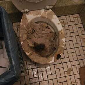 Brennecke Cleaning Entrümpelung 4