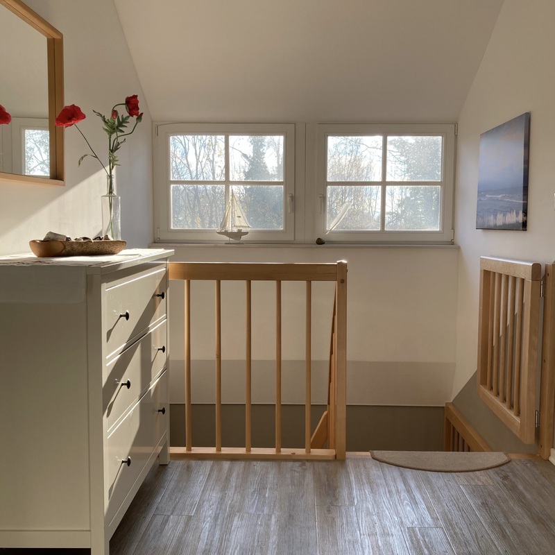 Hausklatschmohn Treppenschutztür