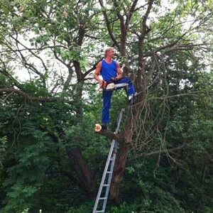 Brennecke Cleaning Grünanlagenpflege 1