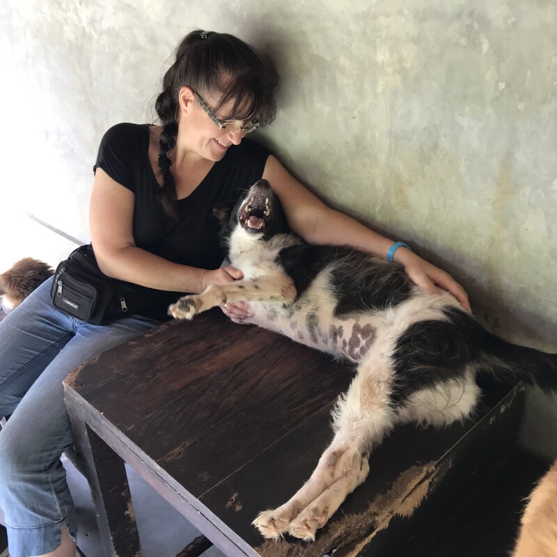 Hier wird wirklich alles dafür getan, dass es den beherbergten Hunden gut geht.