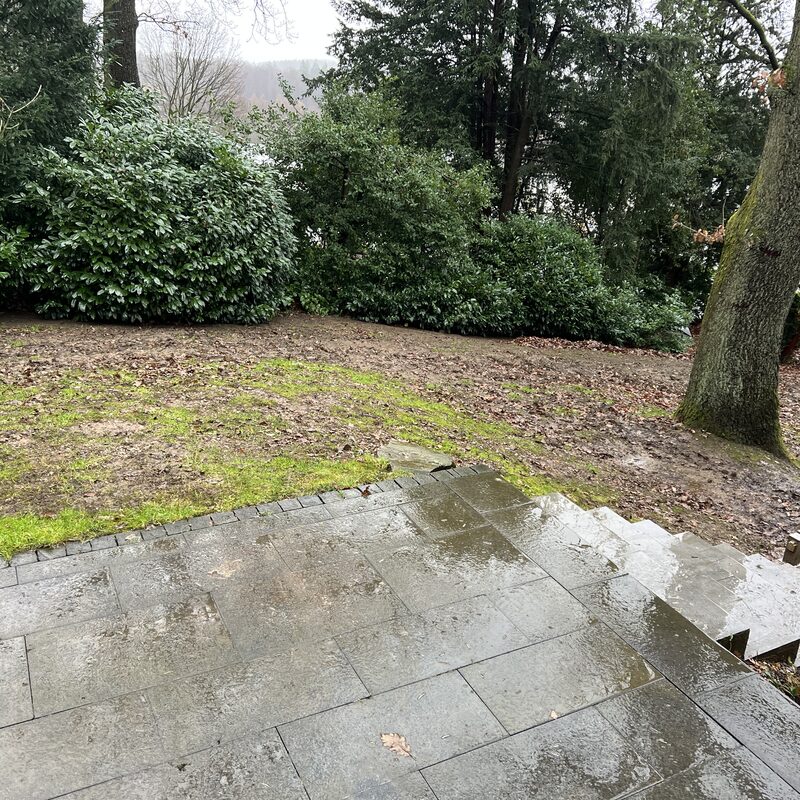 Nasser Plattenweg vor Gehölzrand