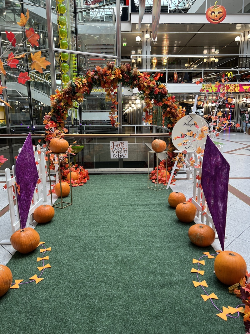 Setup Bau Herbstdekoration - Evendesign