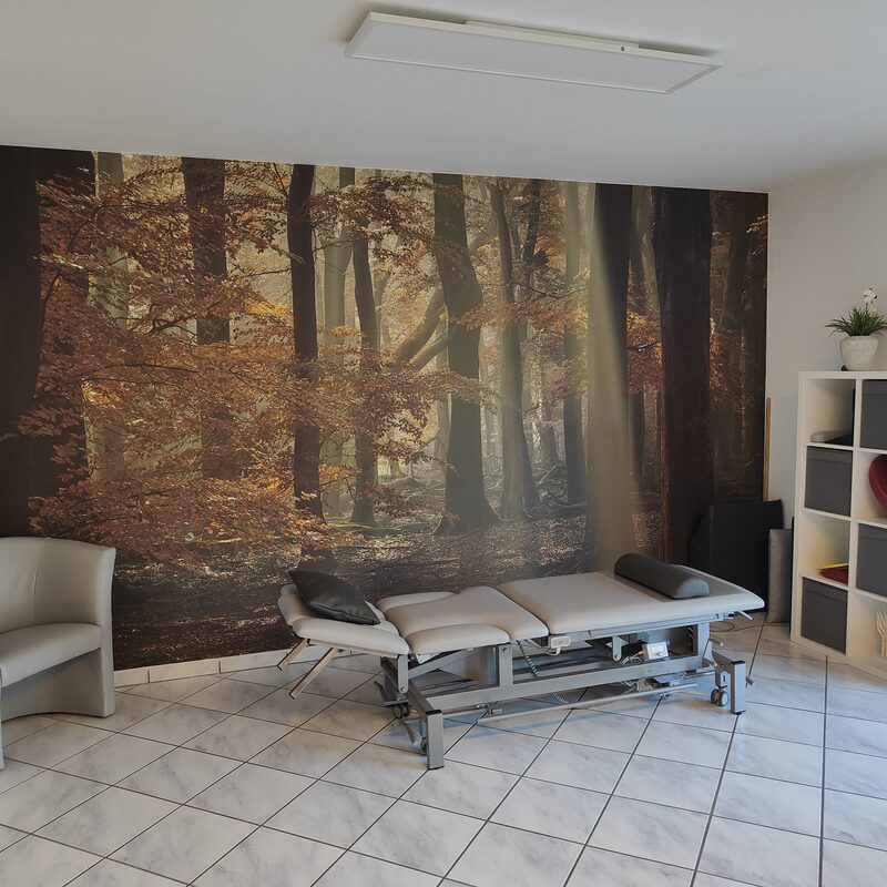 Therapieraum in gemütlicher, natürlicher Atmosphäre