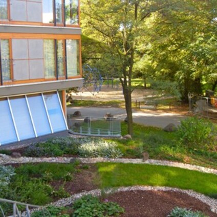 Humboldtring Begrünung in Treppen und Terrassenbereich