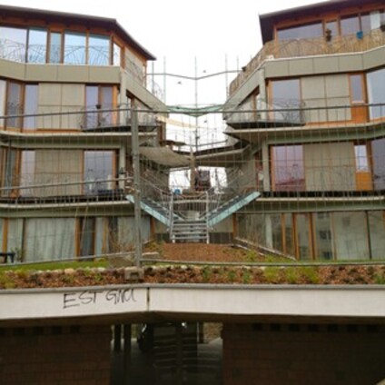 Dachbegrünung in der Bauphase 