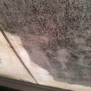 Brennecke Cleaning Markisenreinigung 3