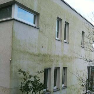 Brennecke Cleaning Reinigung von Fassaden 8