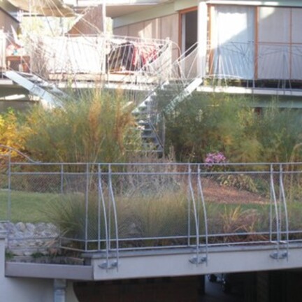 Dachbegrünung nach der Bauphase 