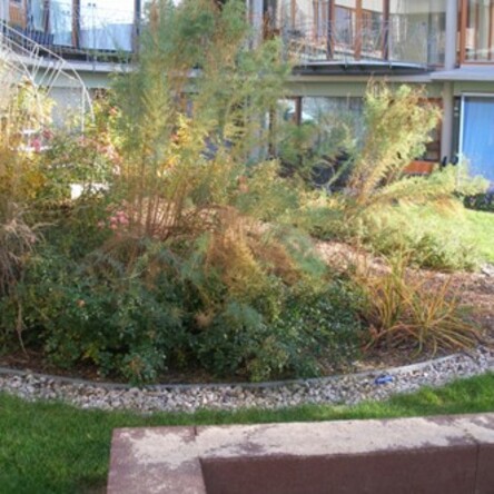 Humboldtring Dachbegrünung 