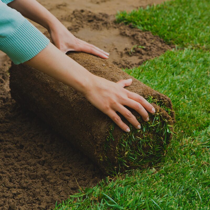 Rollrasen inkl. Verlegung