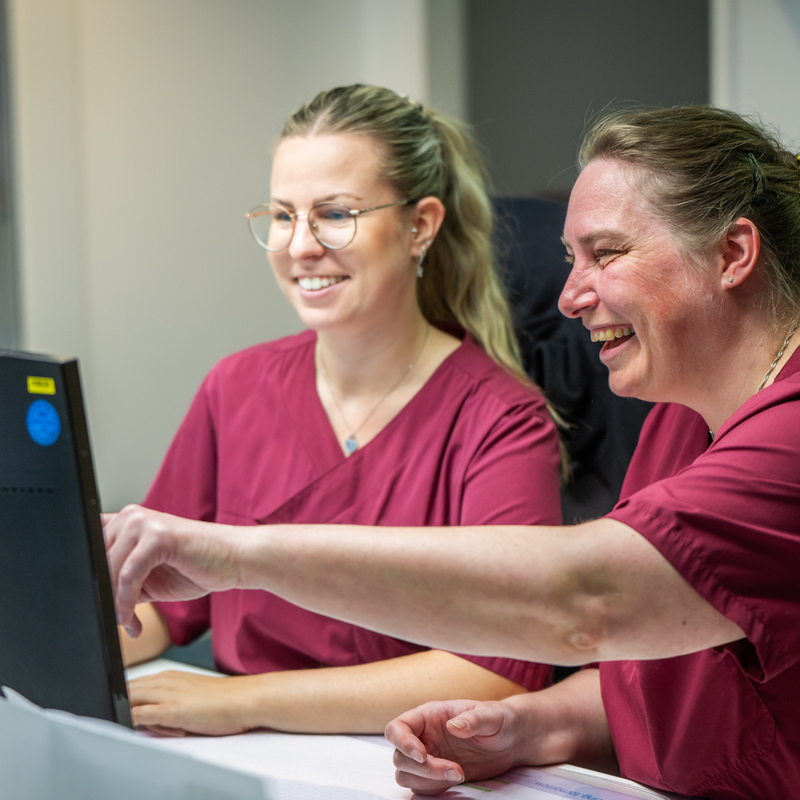 Pflegekräfte arbeiten gemeinsam am PC