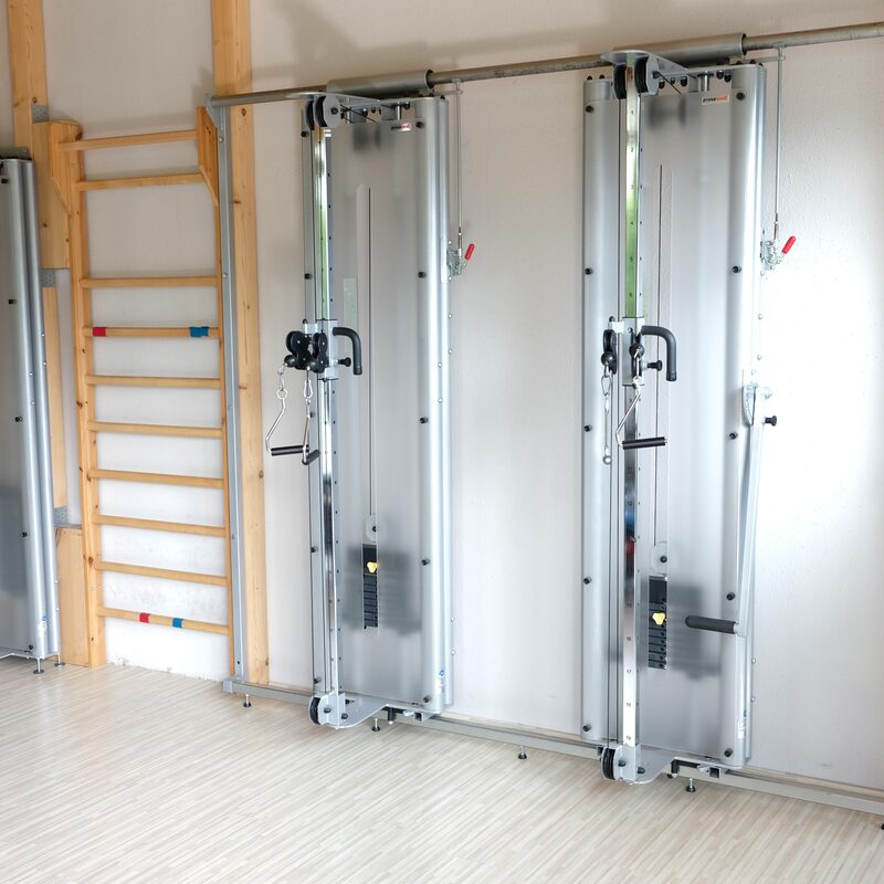 Zwei moderne Zuggeräte und Sprossenwand für Physiotherapie-Übungen