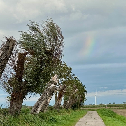So würde der Text aussehen