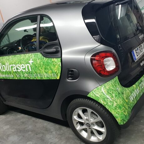 Rollrasen PLUs smart
