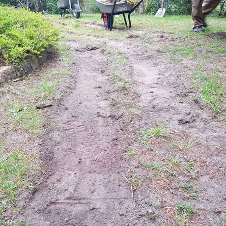 Vorbereitung des Bodes für Rollrasen